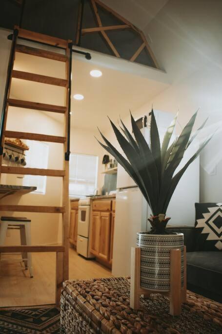 Agave Tiny House At Cactus Flower-Hot Tub-Pet Friendly-No Pet Fees! アルバカーキ エクステリア 写真